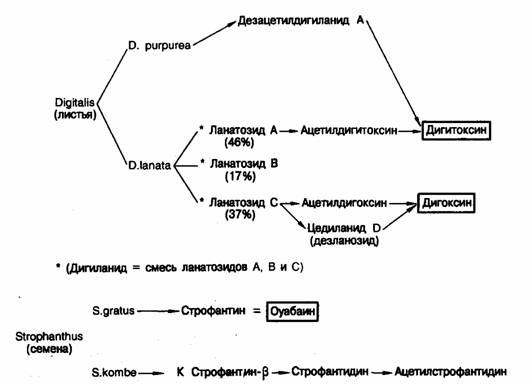 Схема получения дигоксина, дигитоксина и оуабаина