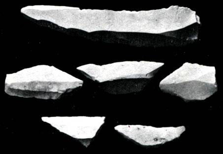 Пластины для серпа: Одним из последних величайших достижений в изготовлении каменных орудий в Старом Свете был микролит - небольшой кусок кремня с четкими углами, который нередко отбивался от пластины с острыми краями вроде изображенной вверху. Разломанная в заранее намеченных местах на три куска, как во втором ряду, такая пластина давала средний кусок е виде трапеции (два боковых куска в дело не шли) или, как в нижнем ряду, кусок, имеющий форму треугольника или сегмента. Затем эти микролиты можно было вставить (острым краем наружу) в деревянную или костяную ручку и укрепить их там смолой или каким-нибудь другим естественным клеем