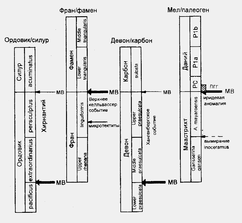 стратиграфическая шкала вымираний