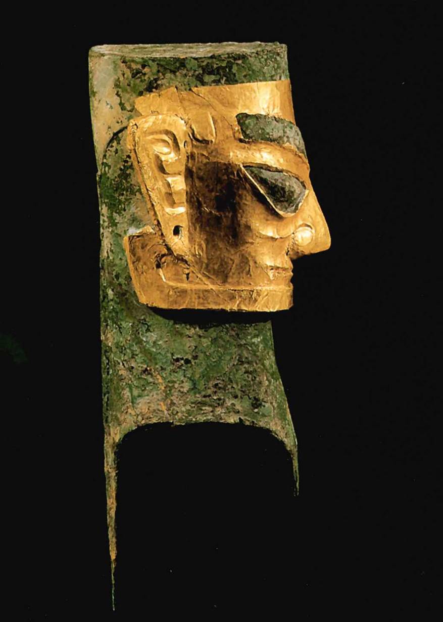 Голова мужчины в золотой маске