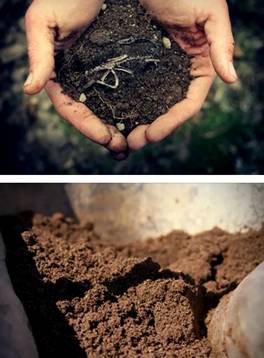 что такое почва