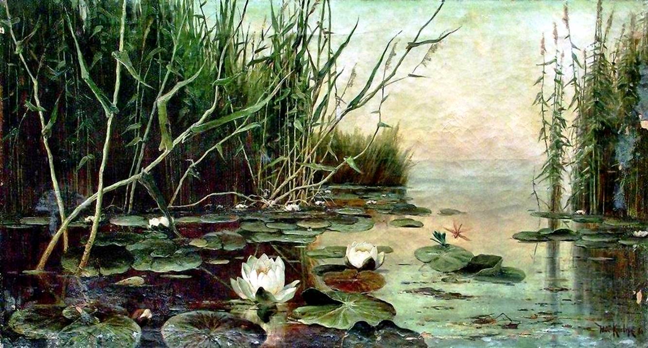 пейзаж Озеро с водяными лилиями