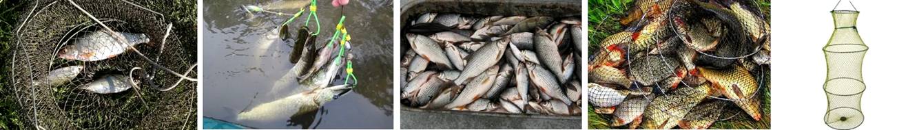 Как сохранить на рыбалке рыбу свежей