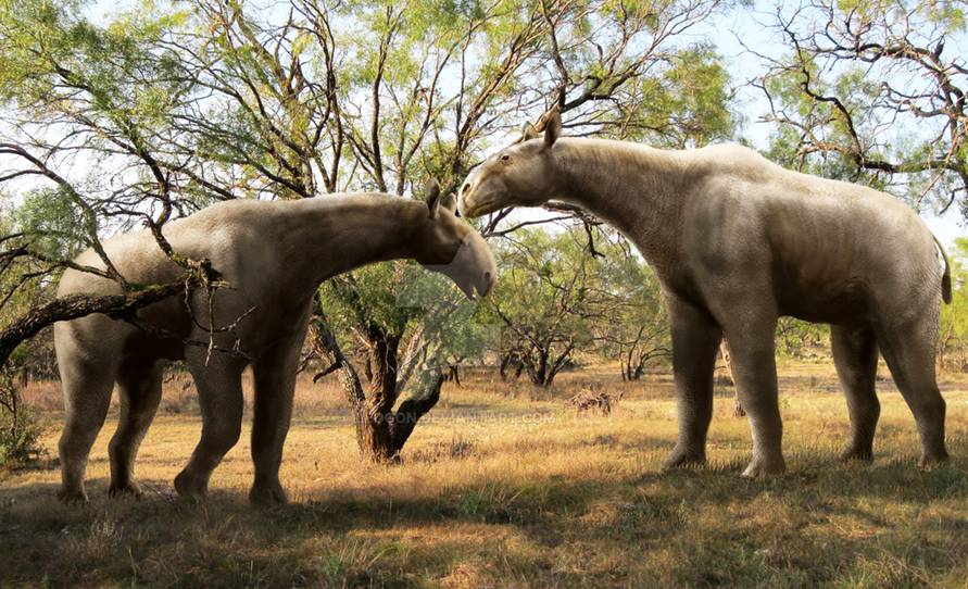 Древний носорог парацератерий