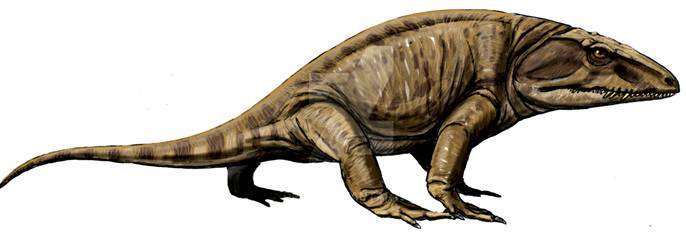 Котилозавр