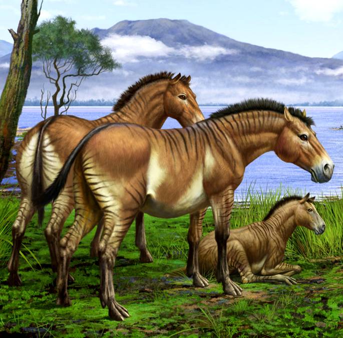 Древние лошади гиппарионы
