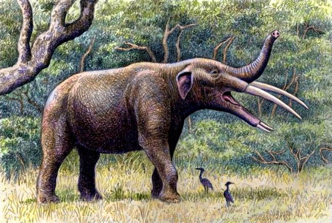 Мастодонт ископаемый слон с четырьмя бивнями