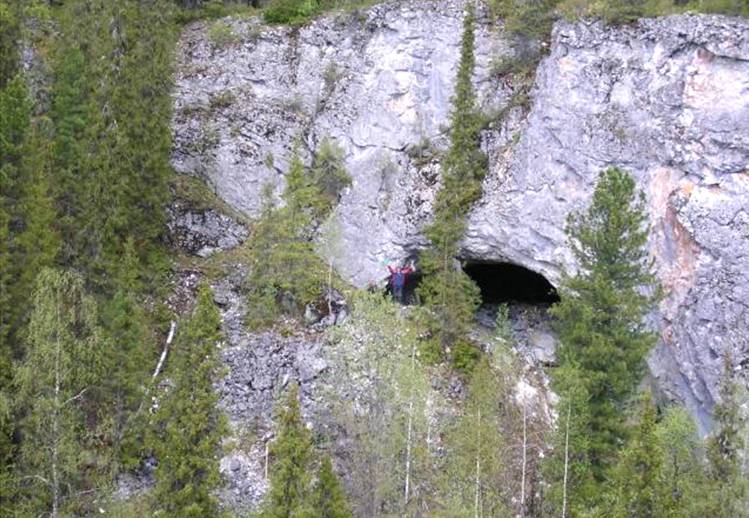 медвежья пещера с костями мамонта