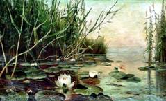 Озеро с водяными лилиями