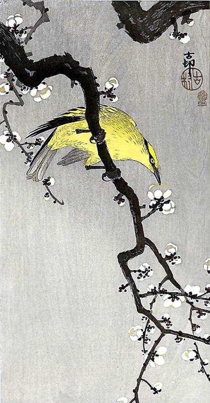 Птица на цветущей сакуре