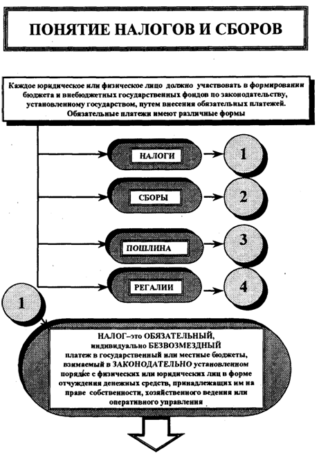 Принципы формирования налогов и сборов. Основные этапы развития налоговой системы РФ. Формирование налогового учета включает сколько этапов. 3 Этап развития налогов.