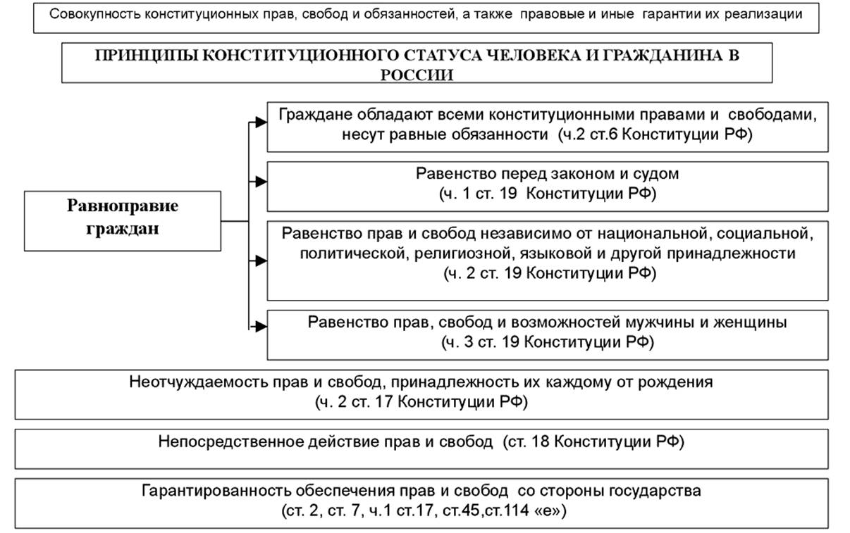 Правовой статус человека и гражданина в РФ схема