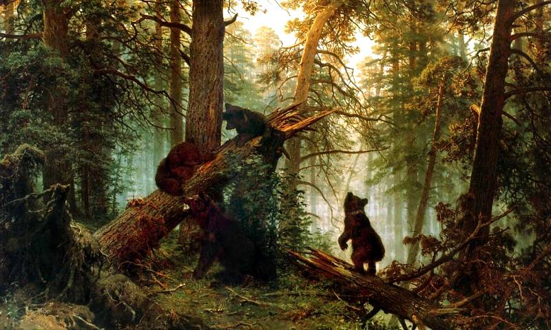 картина Утро в сосновом лесу - Медведи 3 медведя